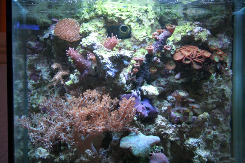 Killikus® Fotographie Killikus® Fotographie